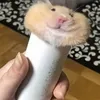 cheesecake_tiktok