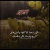 noor.sh2179