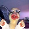 maryamhrp3