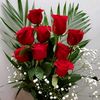 md.junaid3442