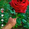 user12633552441445