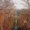 ng.minh.tm17