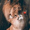 hodan.qaylo0