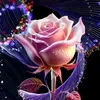 user2369176716674