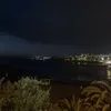 xeviex.rosex