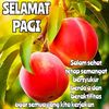 akun_di.hack
