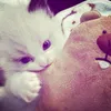 baotrannnnn1