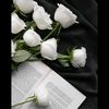 whiterose1tiktok.comwhi0