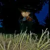 ncksmers02_