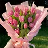 haimy_3010