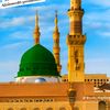 hayat.ali027