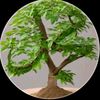 mohammed.yimam20