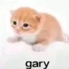 shegshehdbddhudjajwk