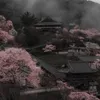 xsuwwiii_