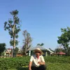 cunguyen0410
