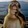 arda_guler1407