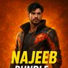 najeeb.465