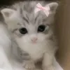 merelymerly0