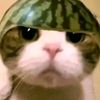 lilaapoww