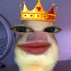 annsyywdr_15