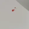 oioioibakaboyyoyoyoh