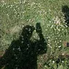 rainn_099