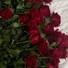 .shahad910