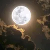 xt_r246