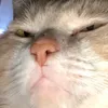 hirocddhj26