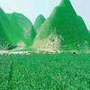 ghani.bayani