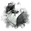 korton.3