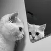 meomunami