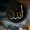naiyl64