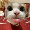 love_87656