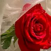 hana.mohmmed09