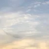 umapaisagem