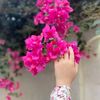 jawaher.khodor