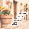 user20303884520