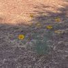 off_grounds