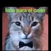 jhosep_522_