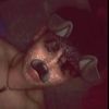 roger_meyer