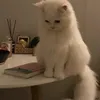 jjjk_rt
