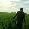 fintyzq