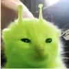 zeroyiu6