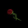 _cjzin12