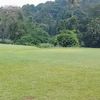 beni.muchtar0