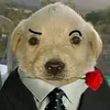 d3rik_ry