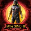 littlesinadhi