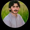 nadir.ali.shahwan