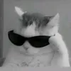 francistalento